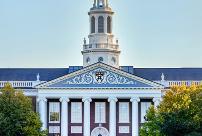 Untitled design (11) Untitled design (11)